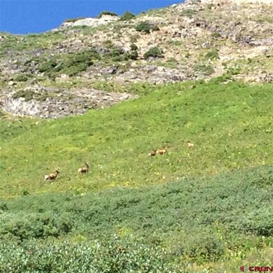 Lots 12-14 27-29 Block 27 Schofield Townsite, Crested Butte, CO 81224 - photo 7