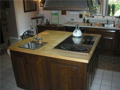 Kitchen butcher block center island w/vegtable sink