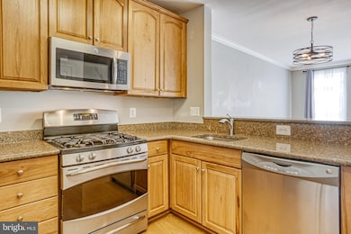 22781 Settlers Trail Terrace, Ashburn, VA 20148 - photo 4