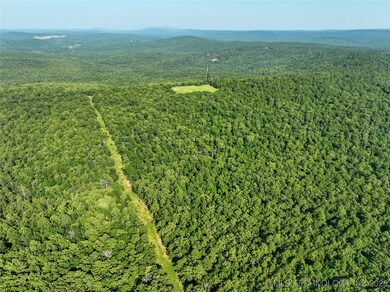 0 Hulsey Prairie unit 2524853, Panola, OK 74559 - photo 4