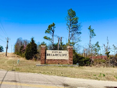 010-01589-000 Canmore Dr, Briarcliff, AR 72653 - photo 5