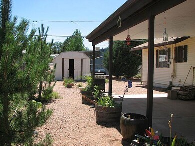 Pines & Storage Shed