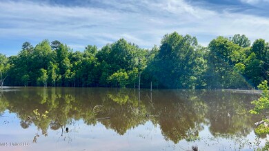 pond