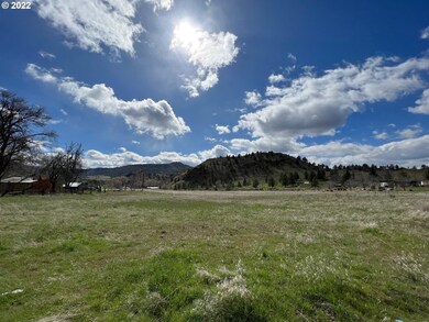 0 Highway 402 unit 22426528, Monument, OR 97864 - photo 4