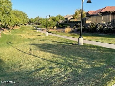 VIEW DOWN SEVERAL WALKING TRAILS