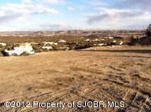 6380 Lakewood St, Farmington, NM 87402 - photo 4