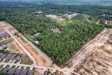 7810 Red Oak Rd, Magnolia, TX 77354 - photo 6