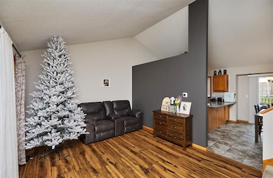 3013 SW Townpark Dr, Ankeny, IA 50023 - photo 5