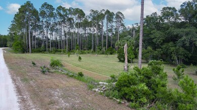 1351 Oak Pond Cir, Steinhatchee, FL 32359 - photo 4