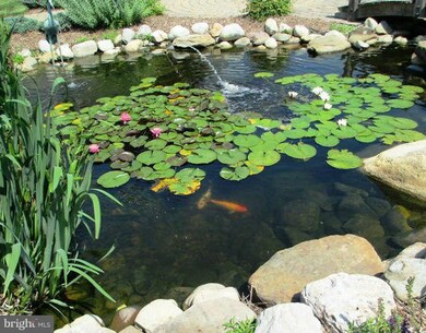 86 Swaggers Point Rd, Solomons, MD 20688 - photo 4