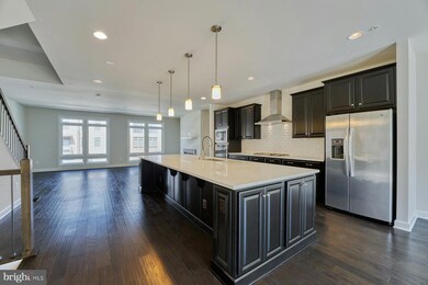 1802 Yellow Garnet Terrace SE, Leesburg, VA 20175 - photo 5