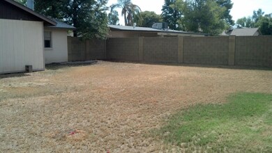 Forge_Back Yard_3