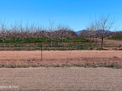 Pecan Orchard to the East of Nolan Rd