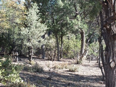 Site of Home