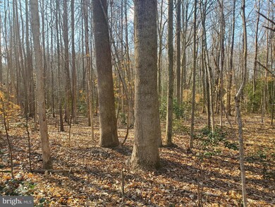 0 Cammack Dr unit VACV2001750, Ruther Glen, VA 22546 - photo 7