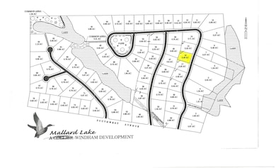 Lot 16 Mallard Lake Dr, Baldwyn, MS 38824 - photo 2