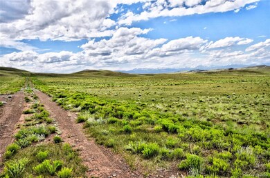 1341 Xtha Trail, Hartsel, CO 80449 - photo 3