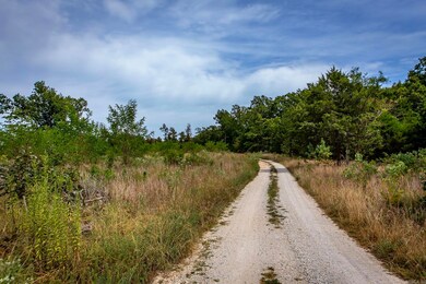 1700 Sutterfield Rd, Fox, AR 72051 - photo 4