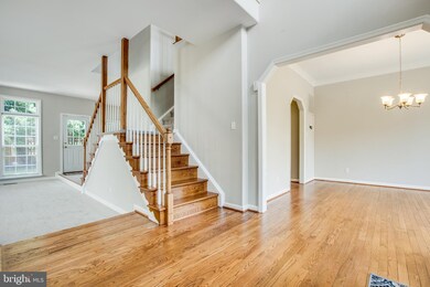 79 Northampton Blvd, Stafford, VA 22554 - photo 6