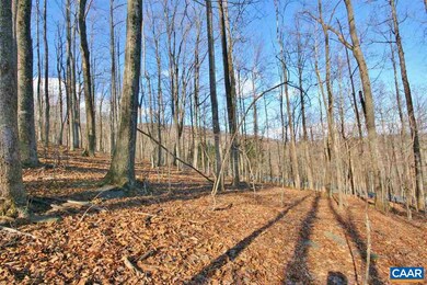 845 Crawfords Climb, Nellysford, VA 22958 - photo 3