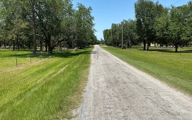 Road view