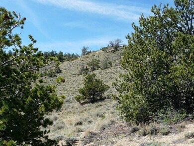 22 Ruby Creek Rd, Red Lodge, MT 59068 - photo 4