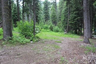 443 David Creek Rd, Cascade, ID 83611 - photo 2