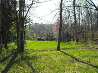 1906 Dancer Branch Rd, Stewart, TN 37175 - photo 7