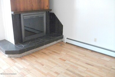Fireplace &  Living Room