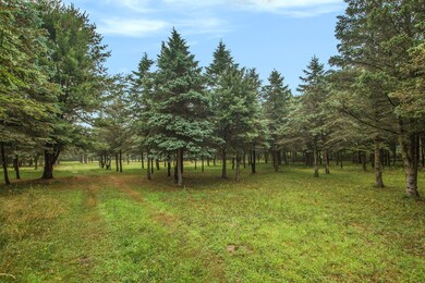 006_dsc09911_802