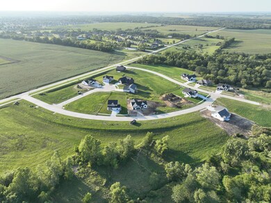 Aerial View 2