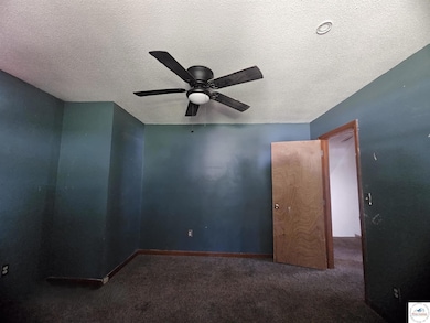 102 Feaster St, Windsor, MO 65360 - photo 7