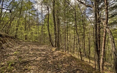 0 Turkey Trot Rd unit 283670, Morganton, GA 30560 - photo 4