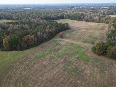 610 E Redcut Rd, Fouke, AR 71837 - photo 2