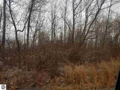 0 S Main St unit 1856110, Au Gres, MI 48703 - photo 5