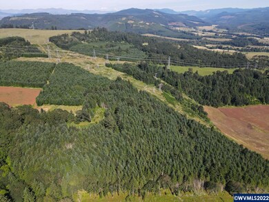 42480 Mount Pleasant Dr, Scio, OR 97374 - photo 4