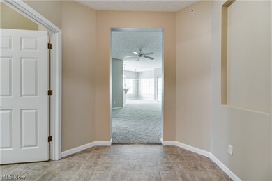 613 Aqua Marine Blvd unit 13, Avon Lake, OH 44012 - photo 5