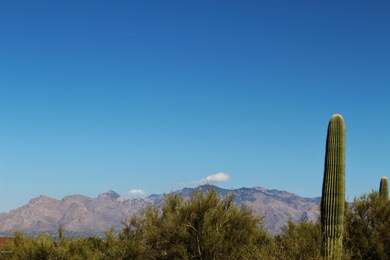 Catalina Mountain Views