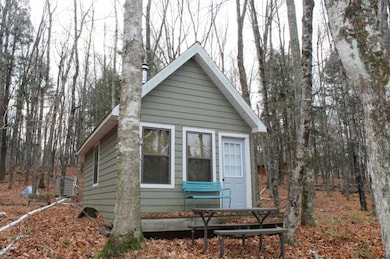 762 Moonlight Ln, Blackwell, WI 54103 - photo 2