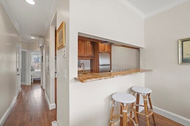 37 Worcester St unit 4, Boston, MA 02118 - photo 6