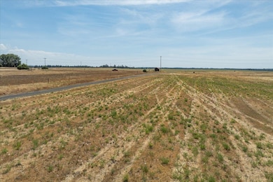 177XX S Smythe Rd, Spangle, WA 99031 - photo 4