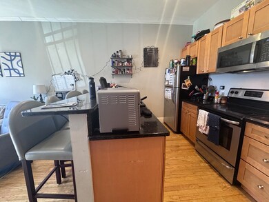 233 Northampton St unit 1, Boston, MA 02118 - photo 2