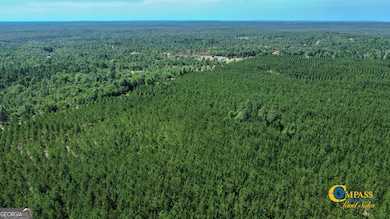 0 Montgomery Rd, Mauk, GA 31058 - photo 2