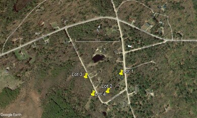 Goggle Aerial closeup