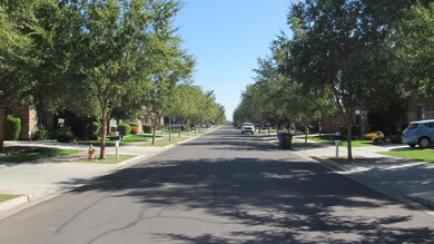 MARLENE STREET