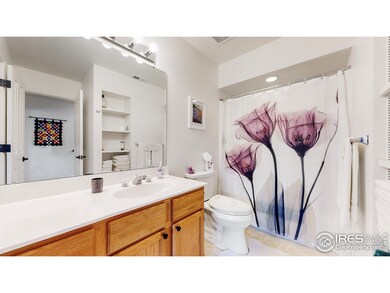 Lower Level Full Bath