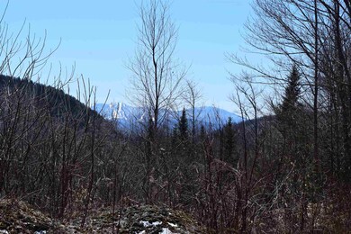 0 Miller Rd unit 20 4804431, Dalton, NH 03598 - photo 3