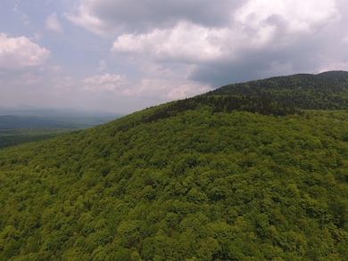 0 Bennett Rd, Kirby, VT 05832 - photo 2