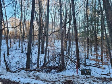 Lot 70 Fence Row Cir, Leroy, MI 49655 - photo 4