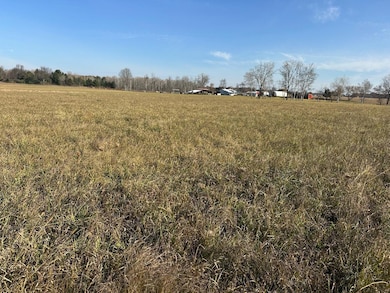 10916 howard city edmore rd 5